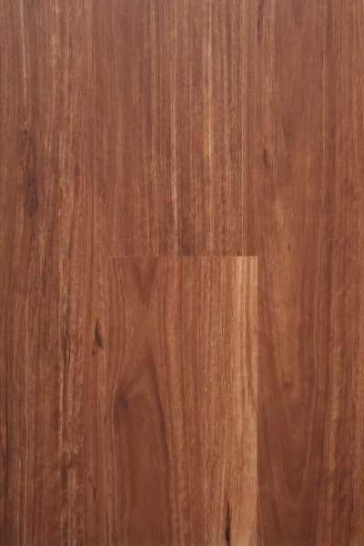 Warm Spotted Gum