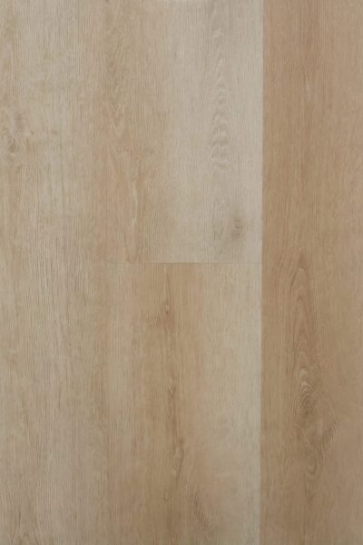 Beach Oak