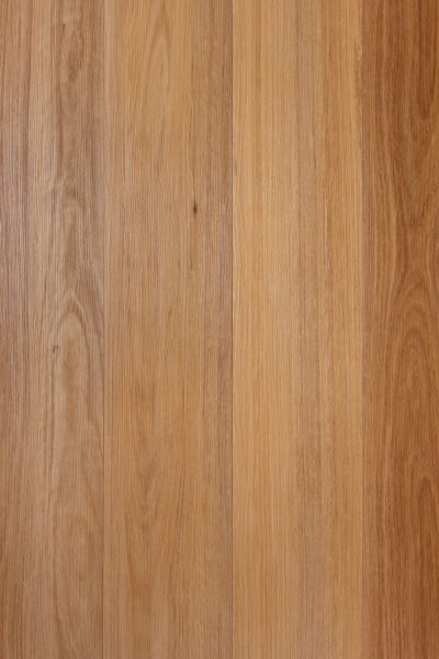 Coastal Blackbutt