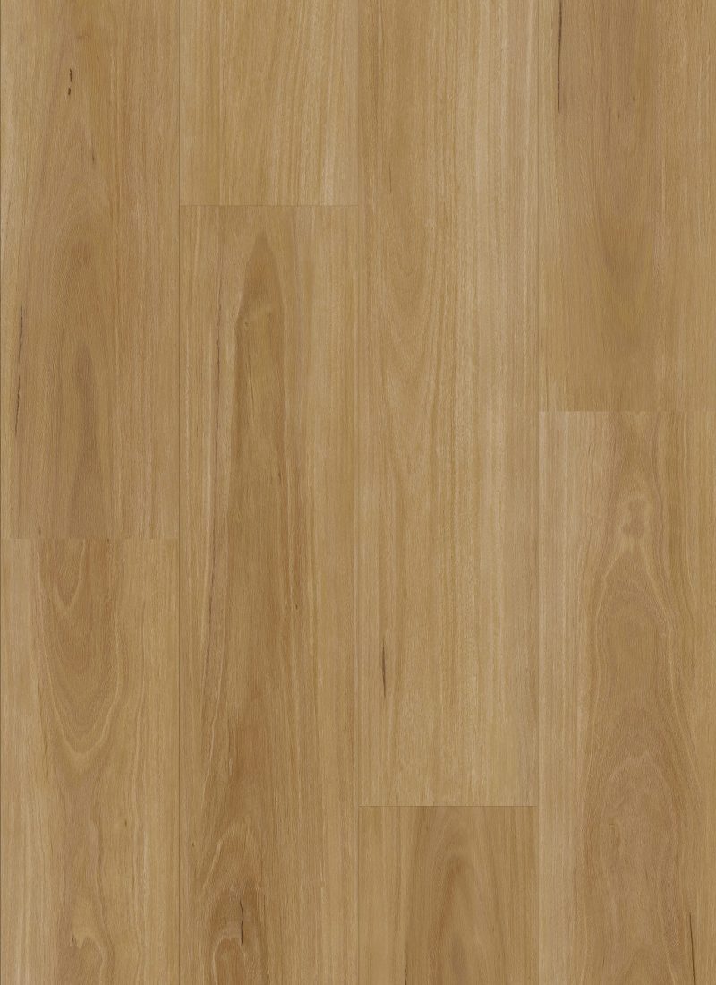 Stonecore Classic Blackbutt hybrid flooring