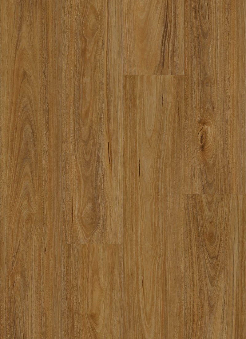 Stonecore Queensland Spotted Gum hybrid flooring