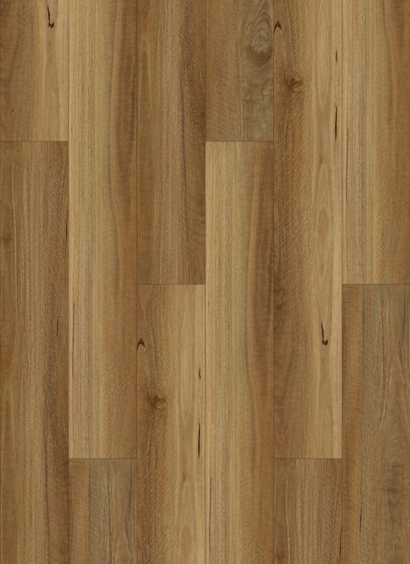 Stonecore NSW Spotted Gum hybrid flooring